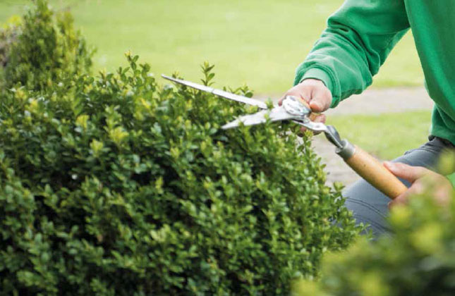 gartenpflege-und-winterdienst