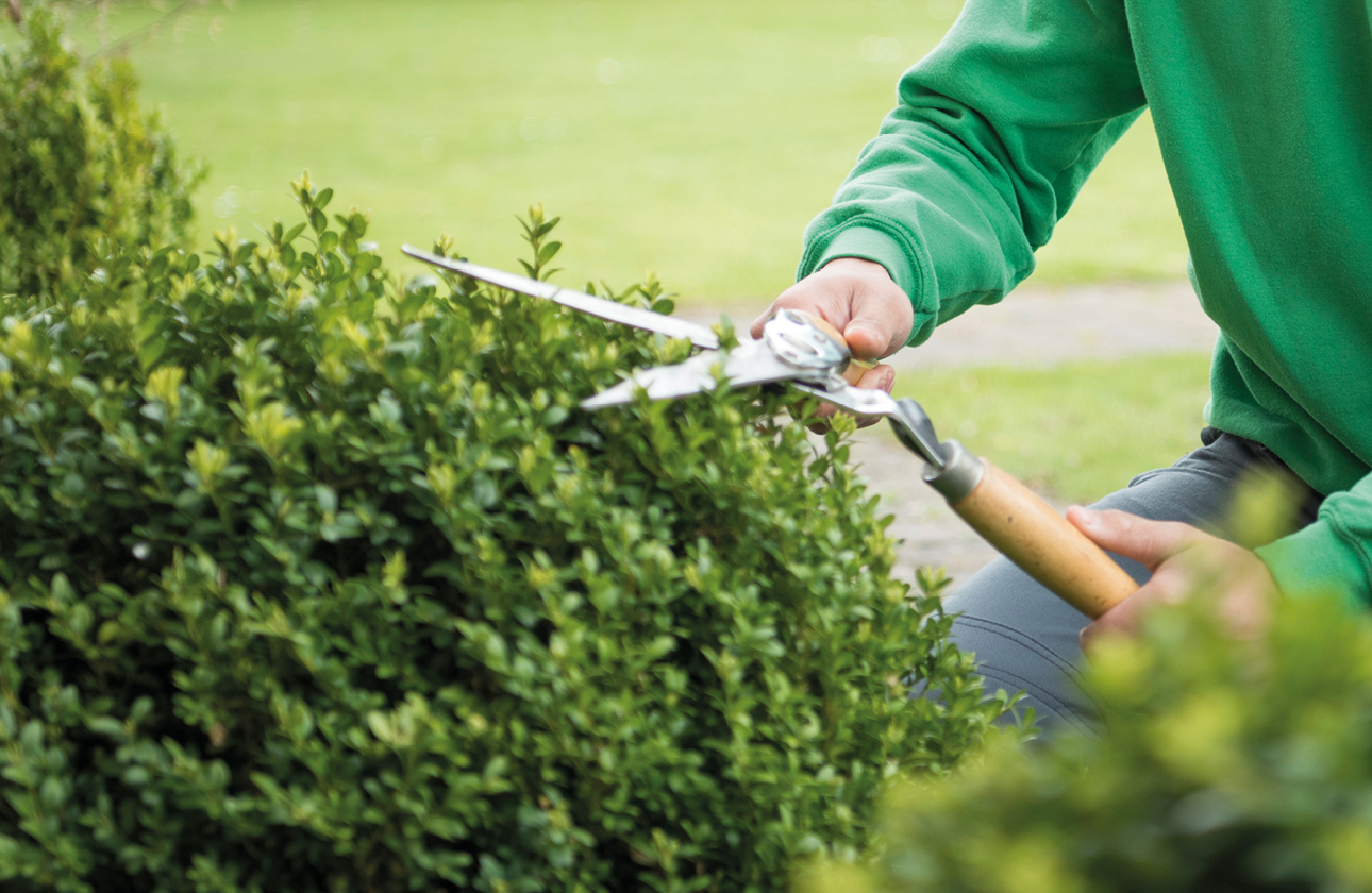 gartenpflegeund-winterdienst