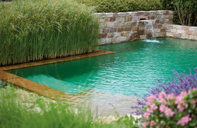 pool-und-bio-schwimmbad