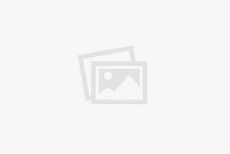 placeholder-4